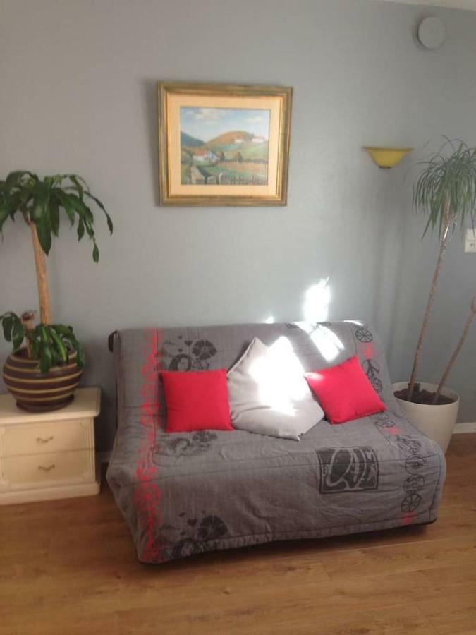 Petit Appartement Douillet Tres Bien Situe 比亚里茨 外观 照片